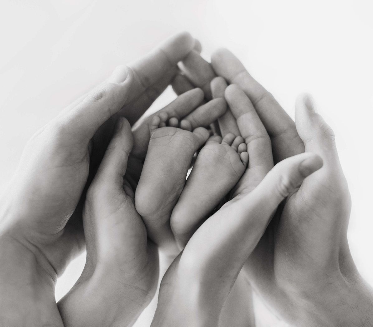 Primer nadó FHSJDM 2022