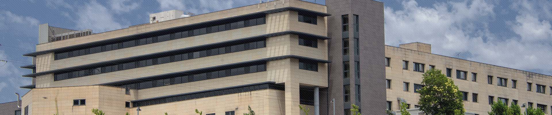 Edifici de l'Hospital de Martorell, vist des del darrere